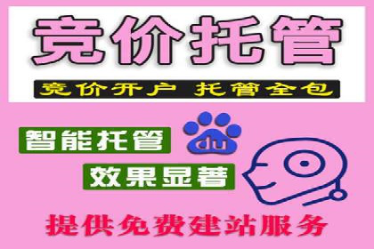百度推广价格透明度：某电商平台的实践
